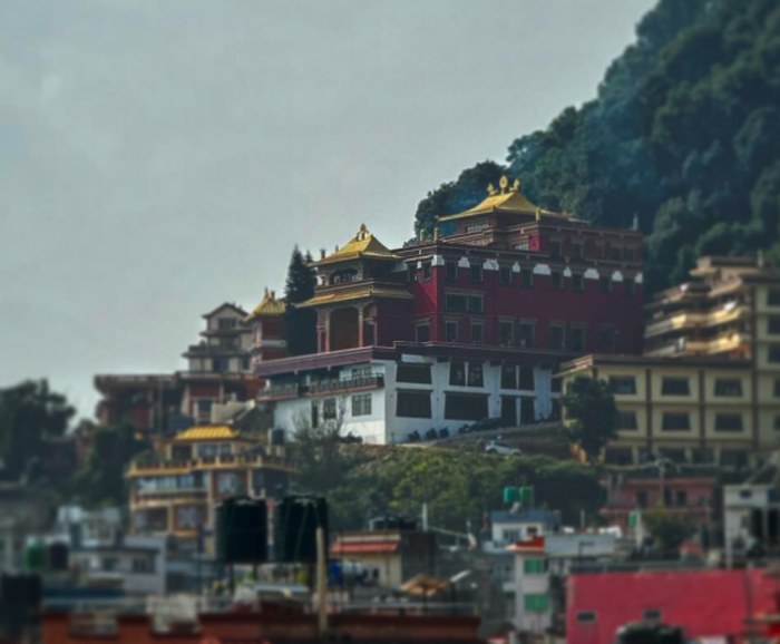 Triten Norbutse monastery on the hillside above Nagarjun, seen from the property