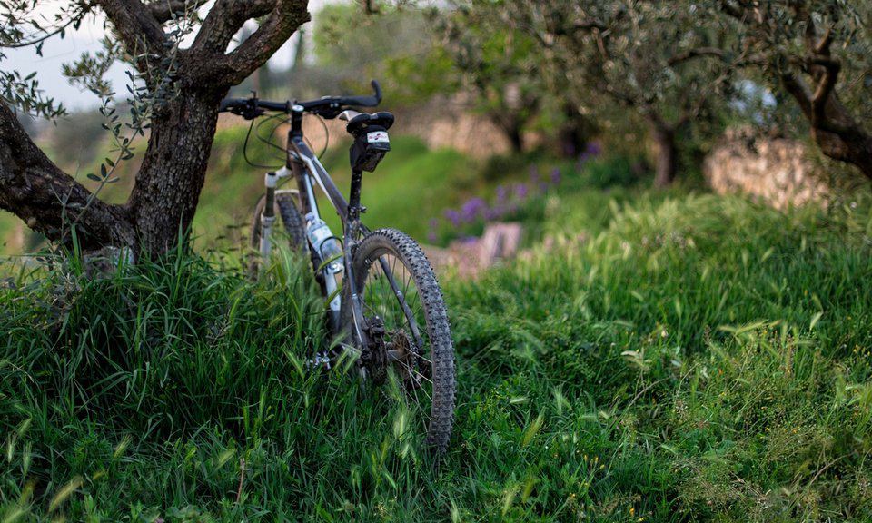 Mountain bike parked on a green hillside trail near House of Forrest Kathmandu